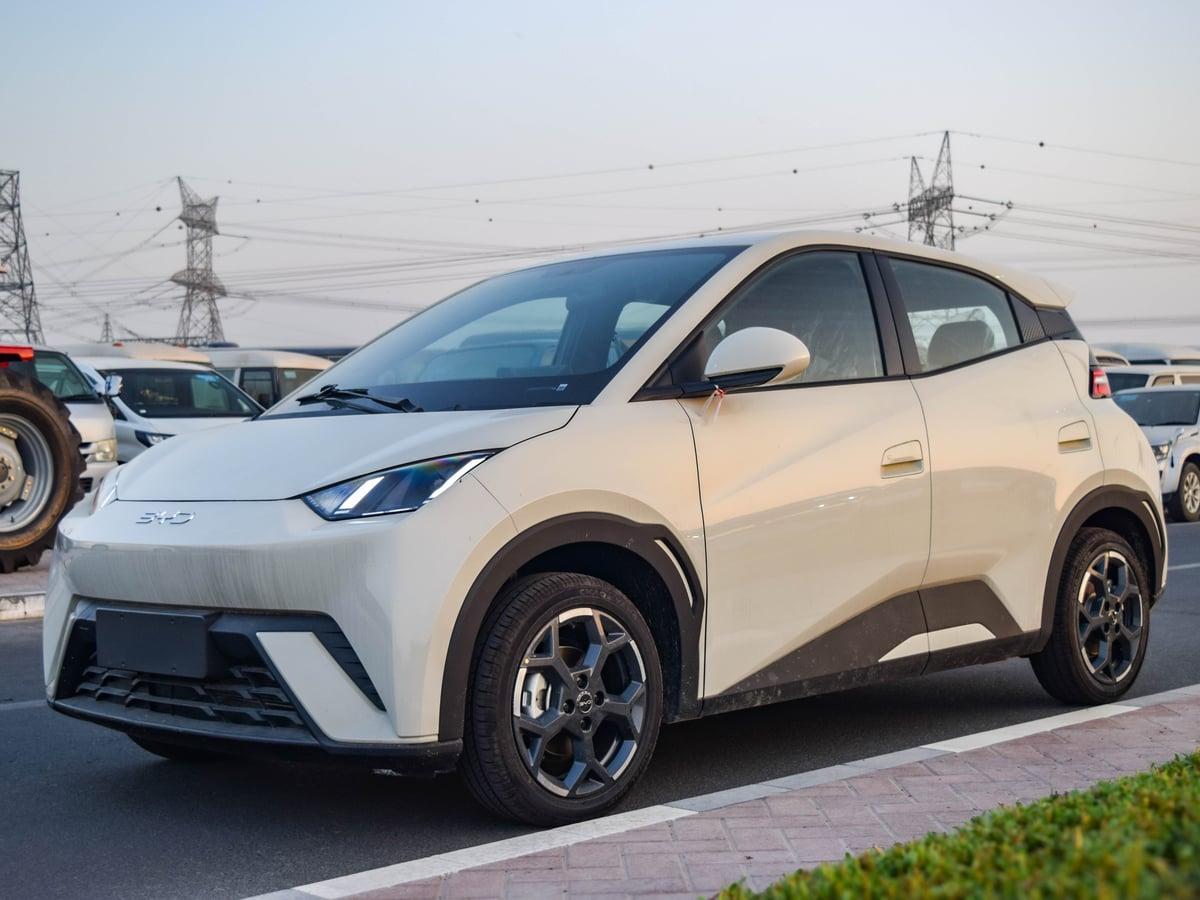 BYD Dolphin